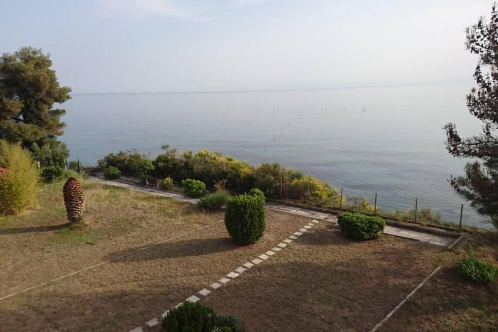 Apartamento Sunshine House Offering Spectacular Views To Olymp A Nea Iraklia Exterior foto