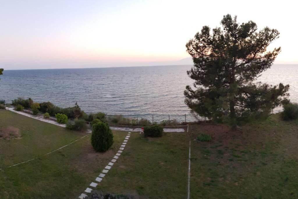 Apartamento Sunshine House Offering Spectacular Views To Olymp A Nea Iraklia Exterior foto