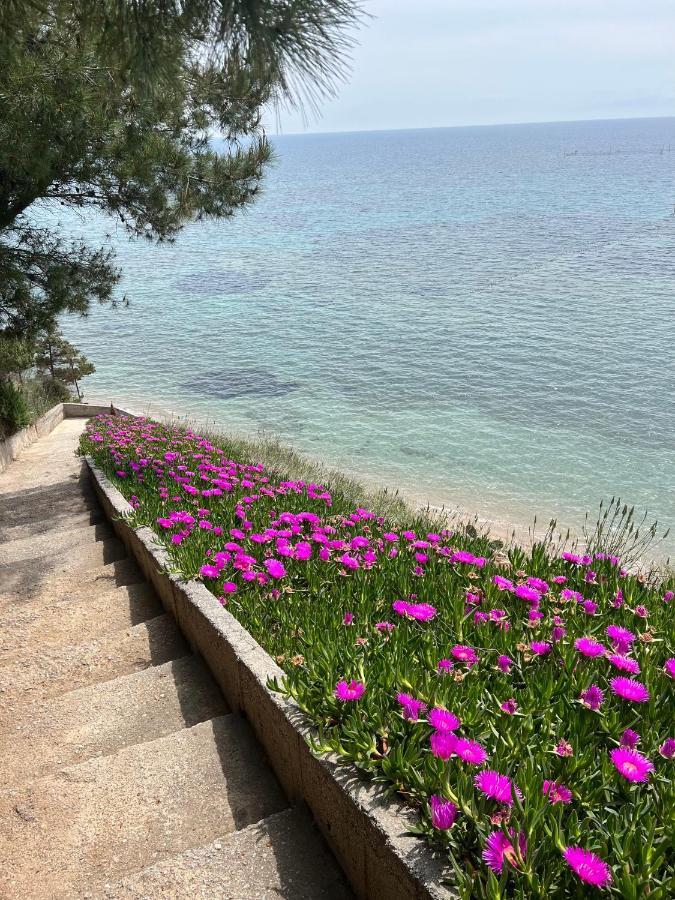 Apartamento Sunshine House Offering Spectacular Views To Olymp A Nea Iraklia Exterior foto